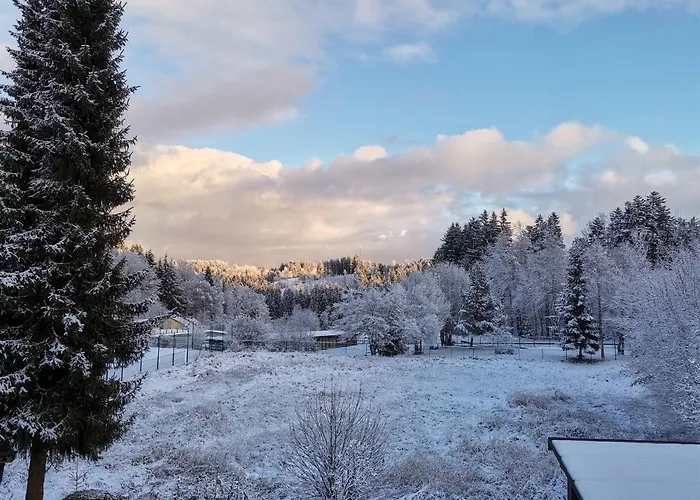 فندق مبيت وإفطار Mornight