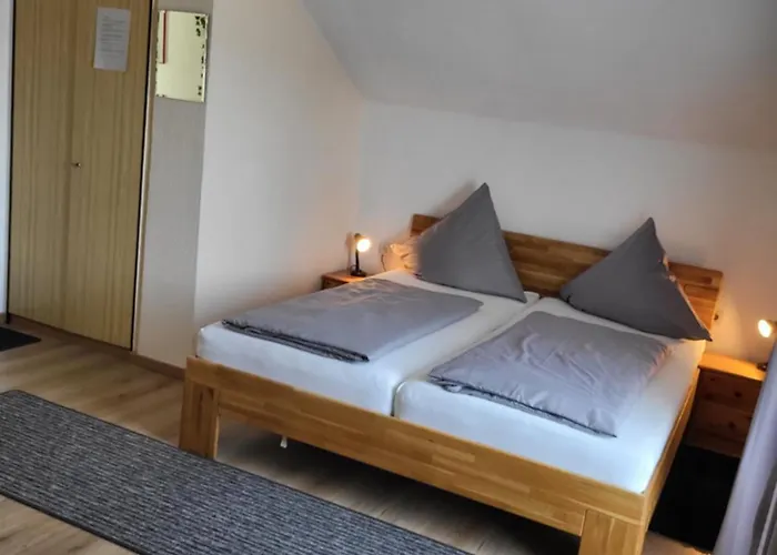 Mornight شبيغيلاو