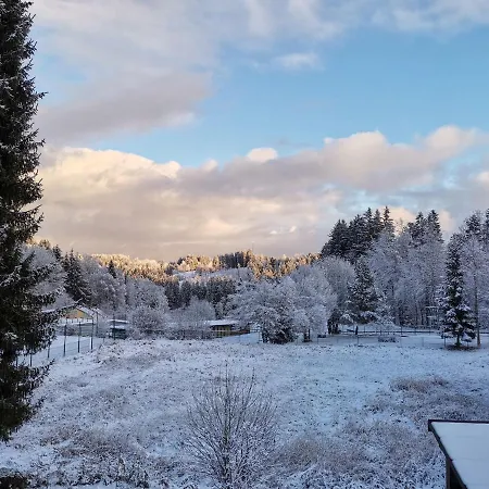 ベッド・アンド・ブレックファスト Mornight